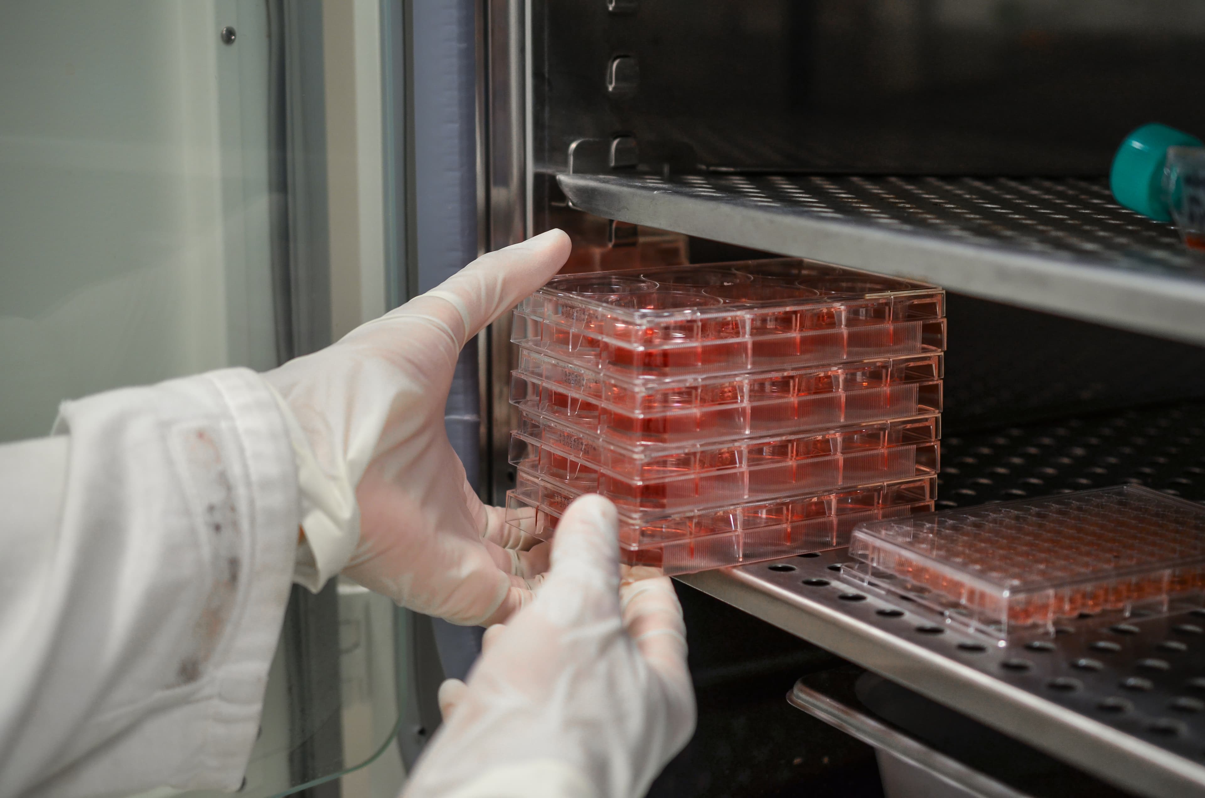 AffigenBio company image