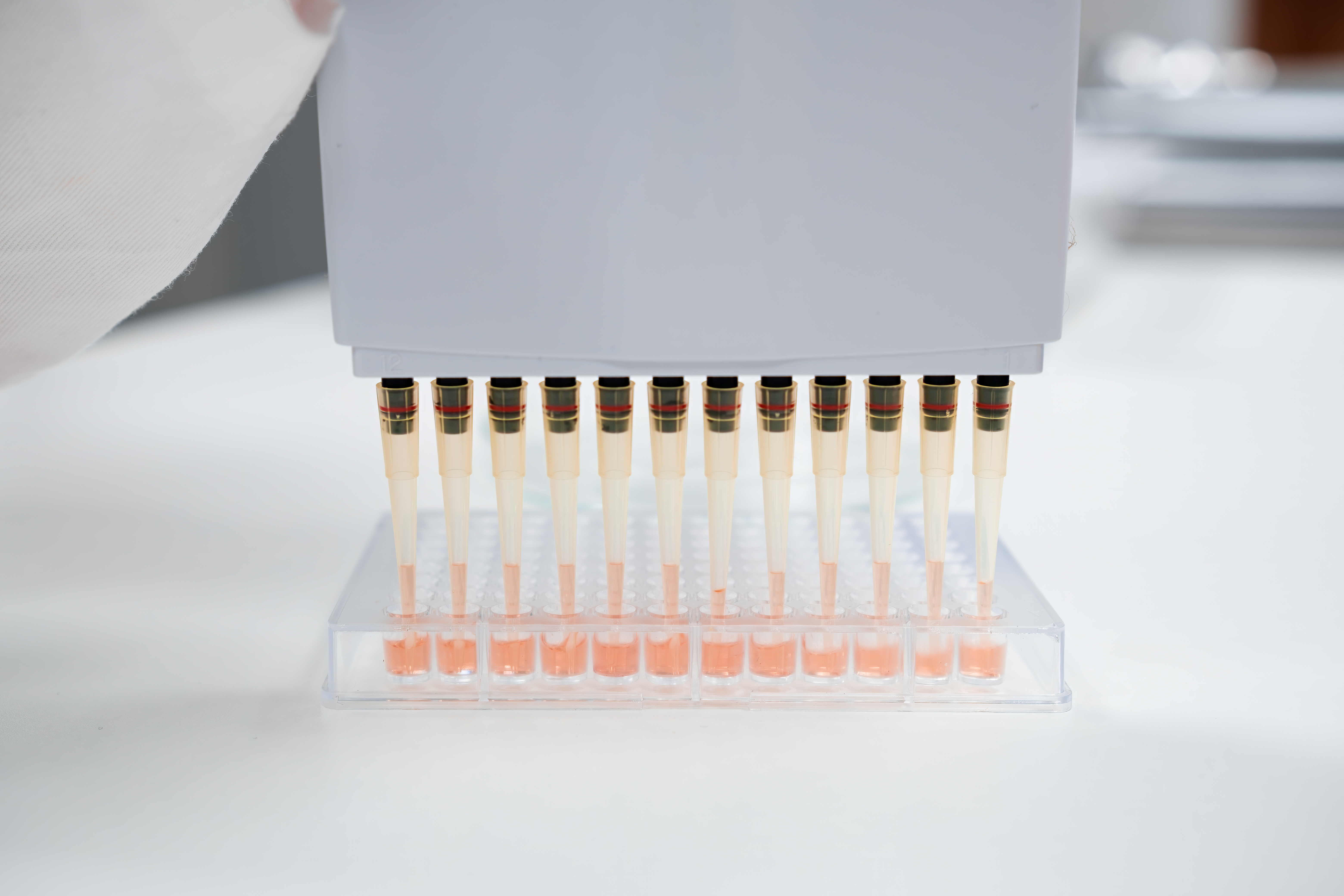 Assay Kits