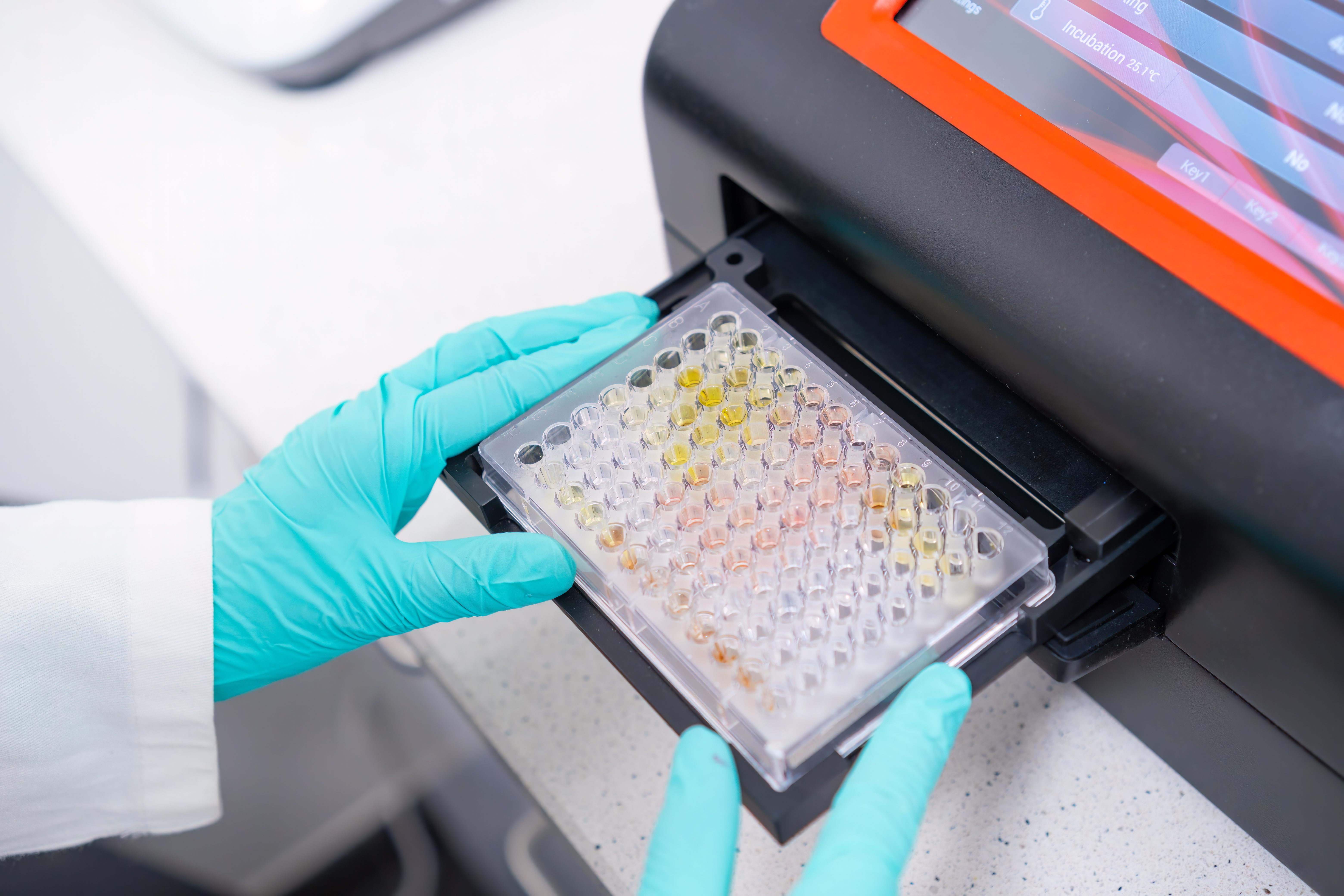 Cells - Stable cell Line